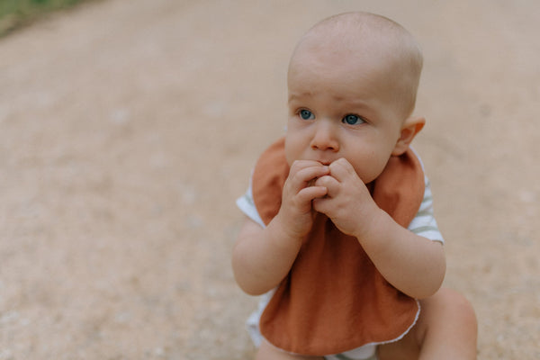 Dino Feeding Bib